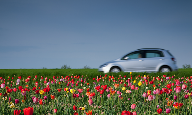6-Hacks-To-Brighten-Up-Your-Car-For-Spring_istock