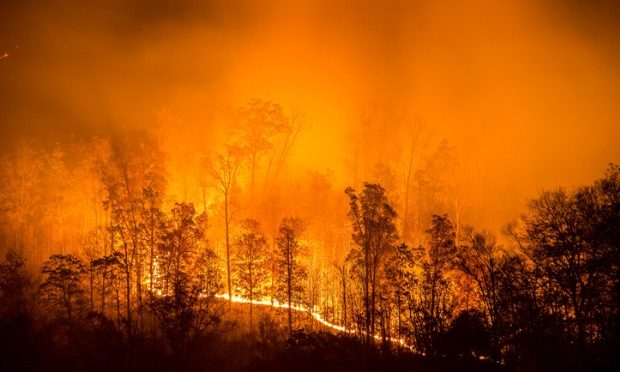 Cape Town Fires- Know how to drive out of a fire safely_istock