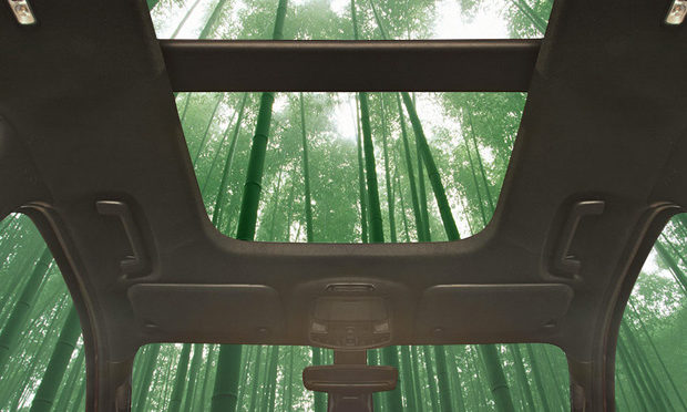 Ford-investigates-the-use-of-bamboo-in-vehicle-interiors