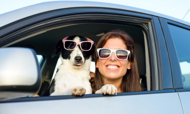 Love your Pet Day - tips for travelling with your pets_istock