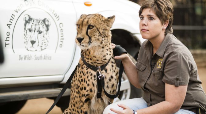 Nissan drives important preservation message through Cheetah Centre partnership