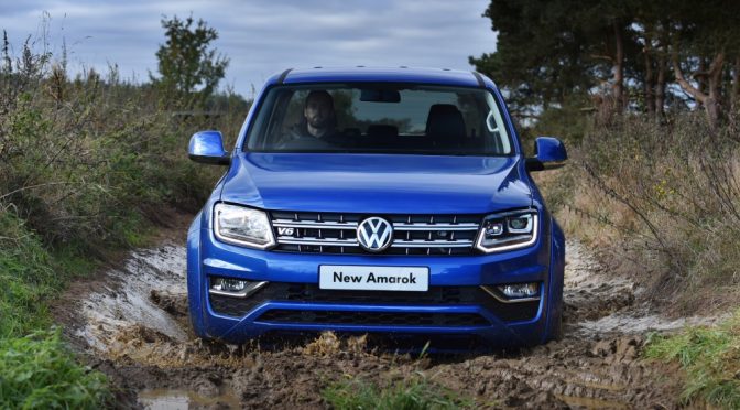 Volkswagen leads the local passenger car market for the 8th consecutive year