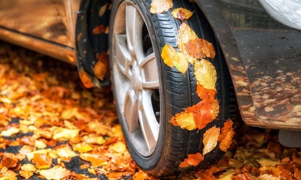 Which is More Slippery – Leaves or Snow_istock